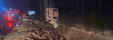 В Путятинском районе самарец на DAF вылетел в кювет и погиб