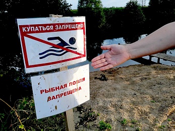 В реке Кердь Пронского района зафиксировали массовую гибель рыбы  - 62ИНФО В реке Кердь Пронского района зафиксировали массовую гибель рыбы
