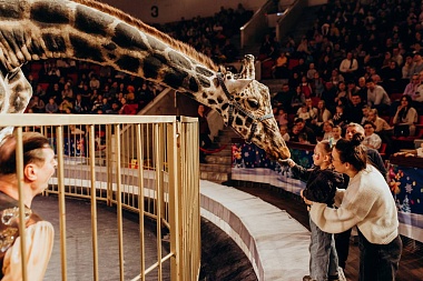 С 12 июня в Рязанском цирке представят программу «ЖИРАФ ШОУ»
