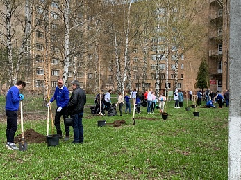 В Рязани на территории ОКБ появилась Аллея терапевтов