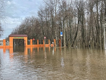 Фоторепортаж: рязанцы покоряют затопленный Лесопарк на лодках и сап-бордах - 62ИНФО Фоторепортаж: рязанцы покоряют затопленный Лесопарк на лодках и сап-бордах