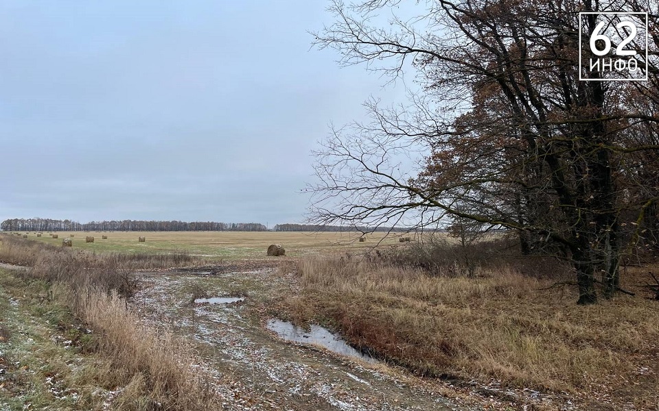  9 из 12 по Бофорту: МЧС объявило, что на Рязань идет сильный шторм - 62ИНФО