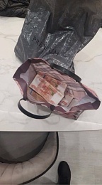 Полиция рассказала подробности дела о мошенничестве с закупкой коммунальной техники в Рязани 