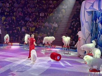 Рязанский цирк представил ледовое шоу «Айсберг»