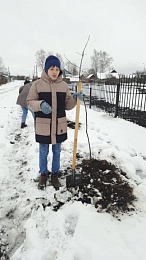 Рязанские школьники посадили дубовую аллею на родине Циолковского