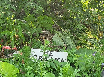 Скопинцы пожаловались на заваленные мусором могилы на местном кладбище