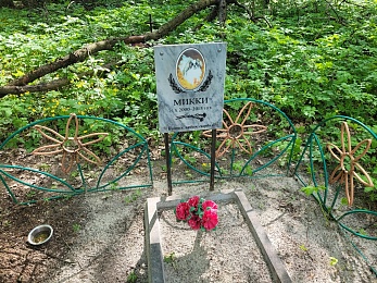 В Рязани организовали стихийное кладбище домашних животных