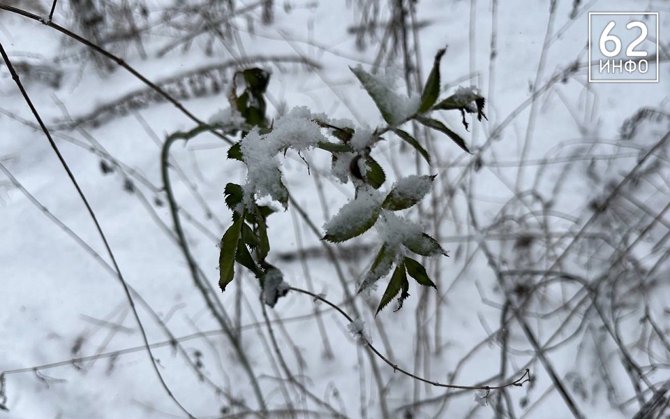 Не как всегда: рязанцам рассказали о погоде в феврале - 62ИНФО