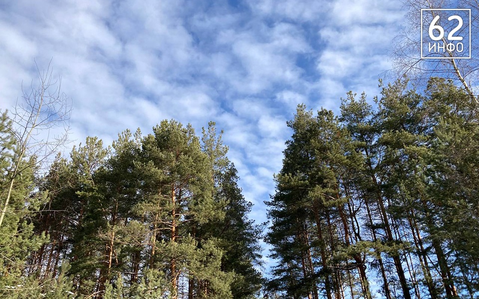 23 февраля в Рязанской области днём будет от -7 до -2°С - 62ИНФО