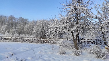 Погода устроила сюрприз востоку Рязанской области в Старый Новый год