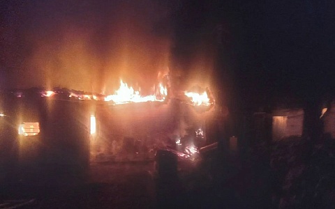 В Пронском округе у многодетной семьи сгорел дом