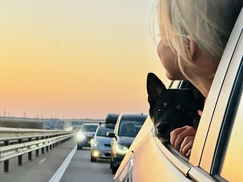 Провожаем лето: красивые фото Рязанской области с настроением отпуска