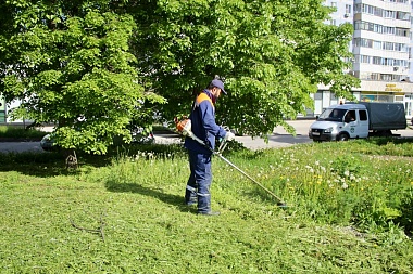Из-за жары в Рязани начали поливать высаженные растения