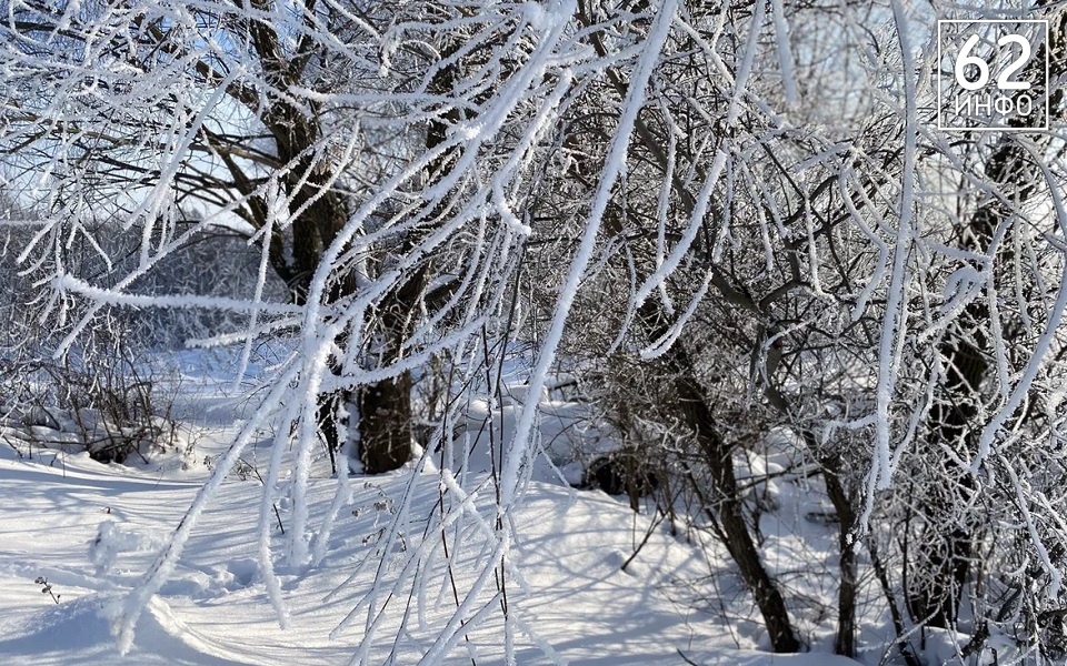 27 февраля в Рязанской области потеплеет до +1 градуса - 62ИНФО