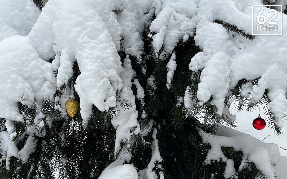 Снежный сочельник: в Рязанской области подморозит к Рождеству - 62ИНФО