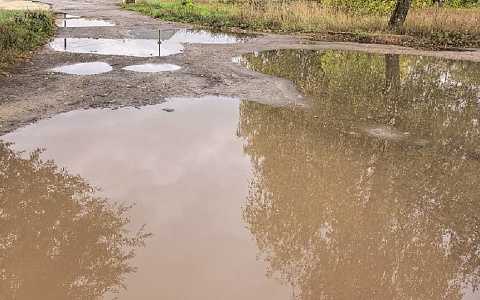 Жители спасского села пожаловались на огромную лужу