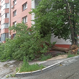 Гроза в Рязани: фоторепортаж ущерба - 62ИНФО Гроза в Рязани: фоторепортаж ущерба