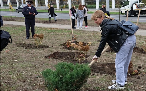 Более 2000 саженцев планируется высадить завтра в Рязани