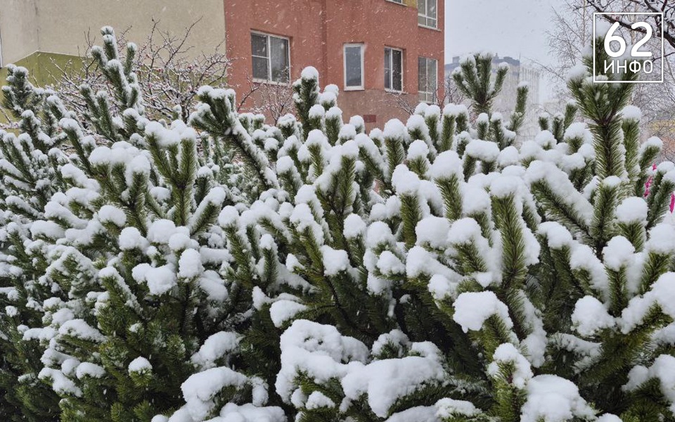 Фоторепортаж: в Рязани 15 ноября выпал первый снег - 62ИНФО