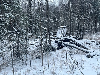 В рязанском лесу сфотографировали заброшки и лестницу в никуда - 62ИНФО В рязанском лесу сфотографировали заброшки и лестницу в никуда