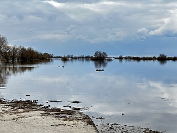Рязанское море: фото разлива Оки