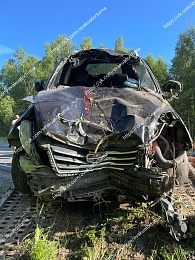 В Клепиковском районе автомобиль сбил лося и влетел в дерево 