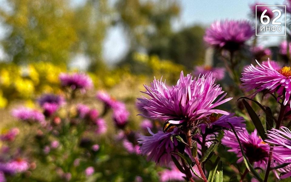 В Рязанской области 17 сентября будут температурные качели в 20 градусов - 62ИНФО