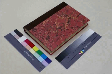 Рязанские реставраторы восстановили первое прижизненное издание «Мёртвых душ»