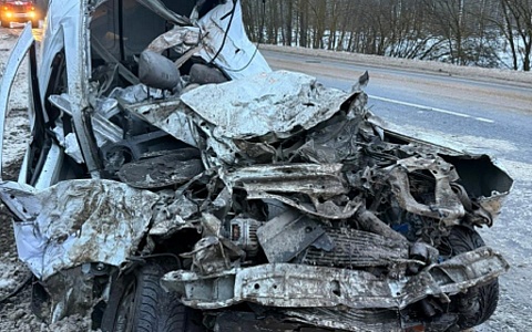 В Клепиковском районе 63-летний водитель Renault погиб в ДТП с грузовым MAN