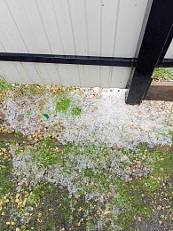 В Рязанской области 1 июня выпал град