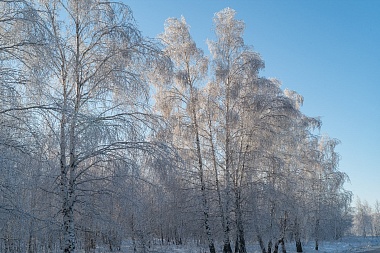 Рязанская епархия показала фотографии митрополита Марка - 62ИНФО Рязанская епархия показала фотографии митрополита Марка