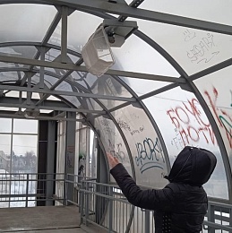 Жители рязанского Дягилева назвали надземных переход «пристанищем» для маргиналов 