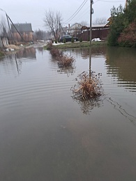В Дягилеве затопило частный сектор