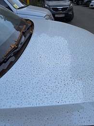 Песчаная буря накрыла Рязань