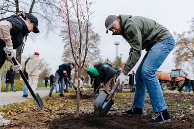 Рязанский губернатор Малков высадил рябину в сквере у новой стелы 