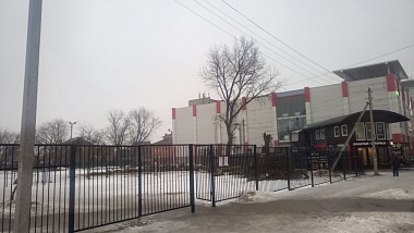 Жители Канищева обеспокоились вырубкой деревьев в микрорайоне