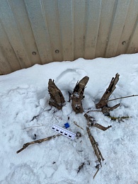 В Рязани задержали двух девушек-рецидивисток с наркотиками 