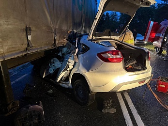 Три человека пострадали в аварии в Клепиковском районе