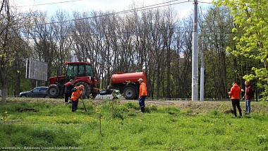 В Рязани высадили ивы и декоративные кустарники 