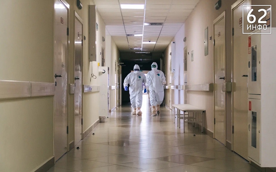 Рязанцев предупредили о риске бешенства из-за диких зверей в городе - 62ИНФО