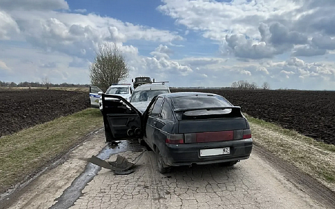В ДТП под Рязанью пострадали три человека