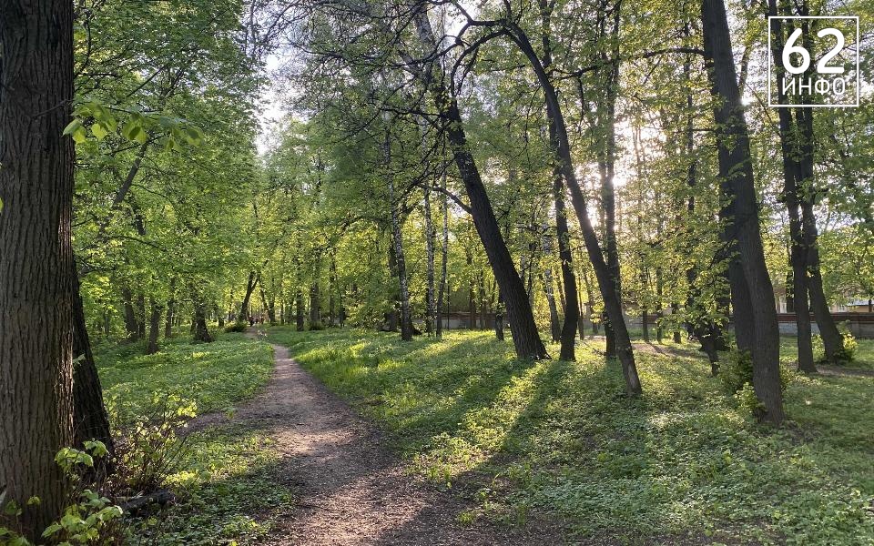 В Рязанской области зафиксировали 33 укуса клещей за неделю - 62ИНФО