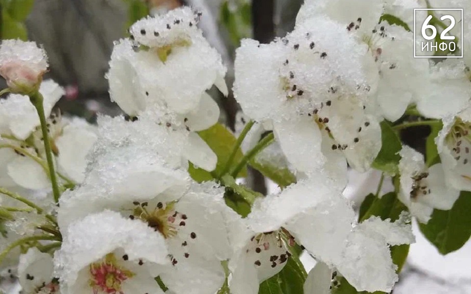 В декабре на Рязанскую область сойдет погодная аномалия - 62ИНФО