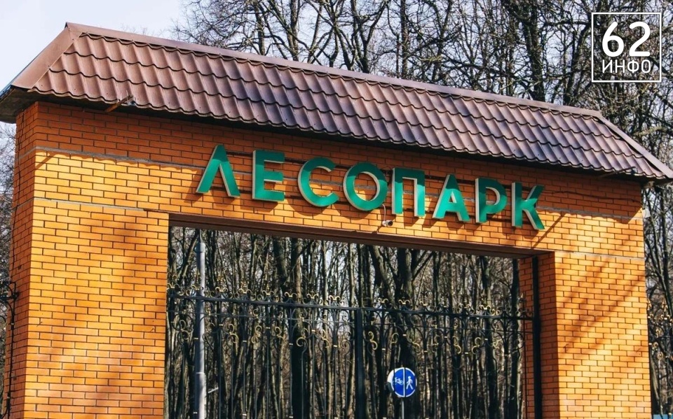 В рязанском Лесопарке стартовали работы по благоустройству  - 62ИНФО