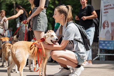 В рязанском Лесопарке прошла выставка бездомных животных «Пойдём домой»