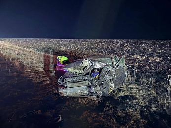 Опубликованы фото с места аварии в Пронском районе с 2-мя пострадавшими