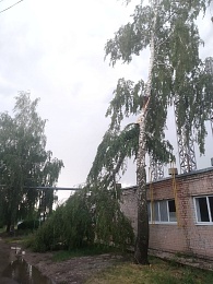 Гроза в Рязани: фоторепортаж ущерба - 62ИНФО Гроза в Рязани: фоторепортаж ущерба