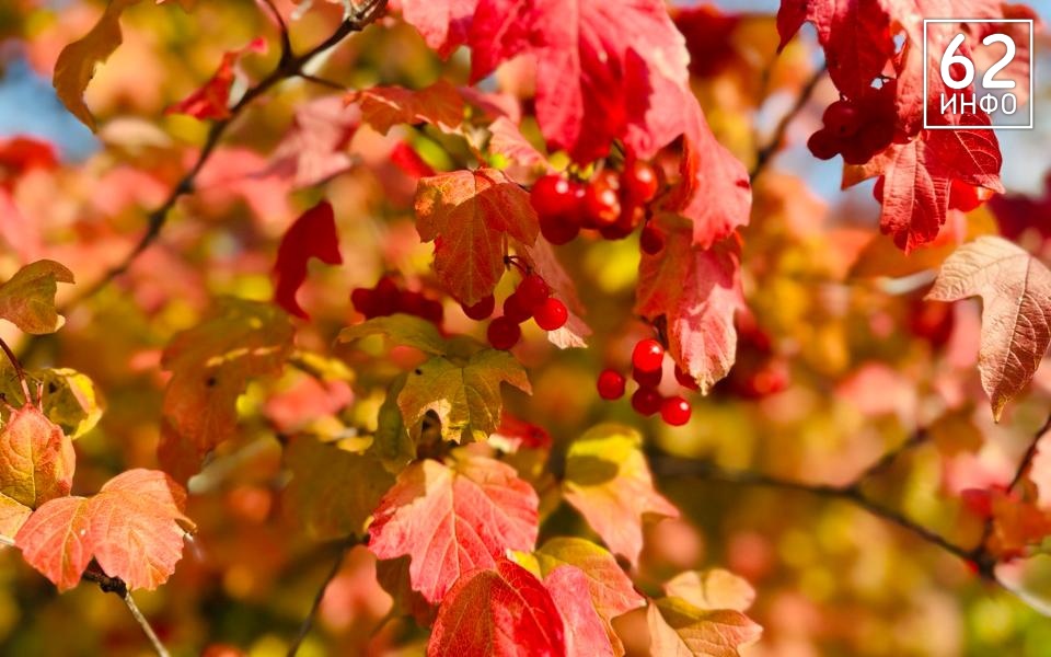 В Рязани 10 сентября будут температурные качели в 20 градусов - 62ИНФО