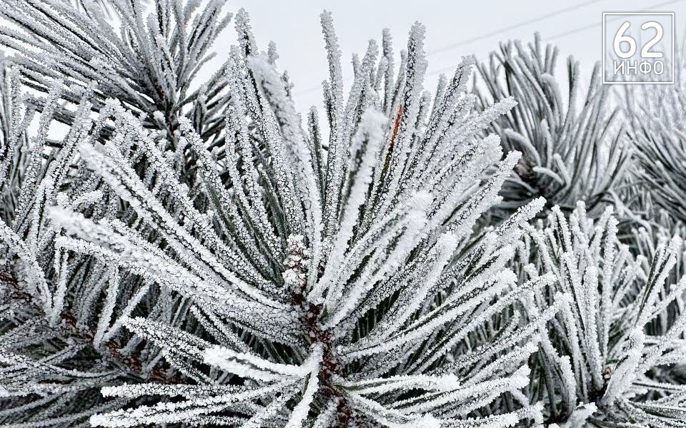 Дождь и лёд: рязанцам рассказали, какая погода установится 24 ноября - 62ИНФО