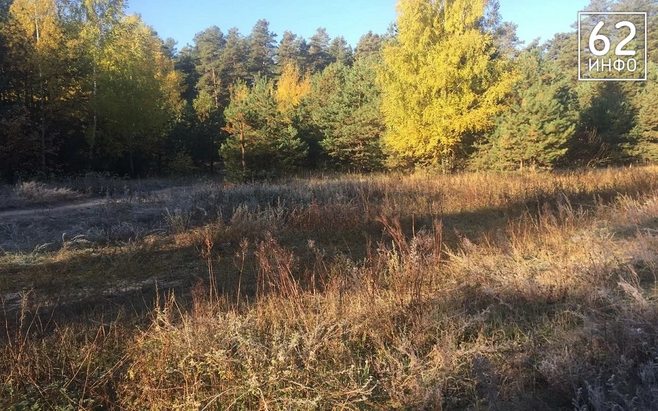 В Рязанской области температура упадет до +3°С - 62ИНФО